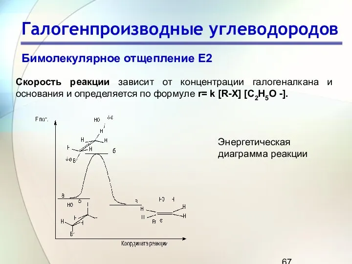 Галогенпроизводные углеводородов Бимолекулярное отщепление Е2 Cкорость реакции зависит от концентрации галогеналкана