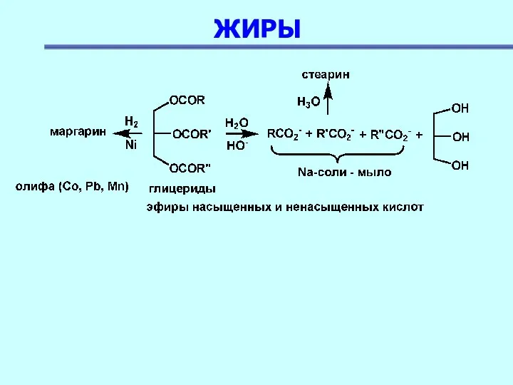 ЖИРЫ