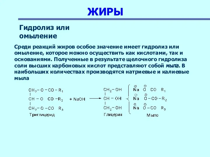 ЖИРЫ Среди реакций жиров особое значение имеет гидролиз или омыление, которое