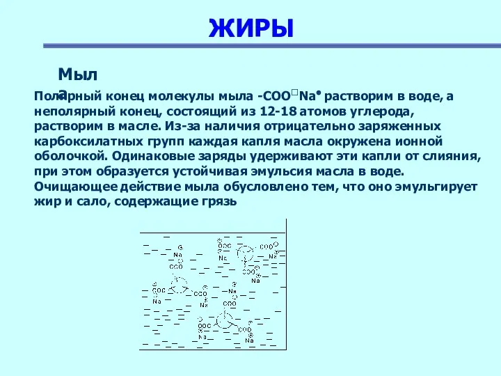 ЖИРЫ Полярный конец молекулы мыла -СООNa⊕ растворим в воде, а неполярный