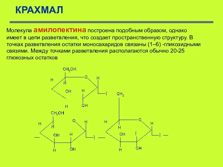 КРАХМАЛ Молекула амилопектина построена подобным образом, однако имеет в цепи разветвления,