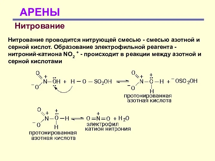 АРЕНЫ Нитрование Нитрование проводится нитрующей смесью - смесью азотной и серной