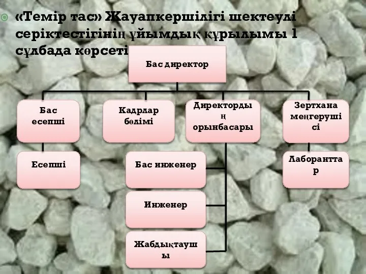 «Темір тас» Жауапкершілігі шектеулі серіктестігінің ұйымдық құрылымы 1 сұлбада көрсетілген. Бас