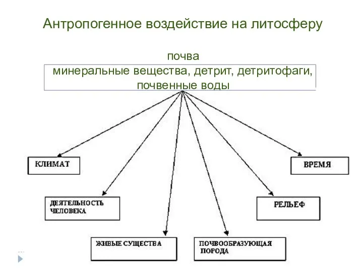 Антропогенное воздействие на литосферу почва минеральные вещества, детрит, детритофаги, почвенные воды