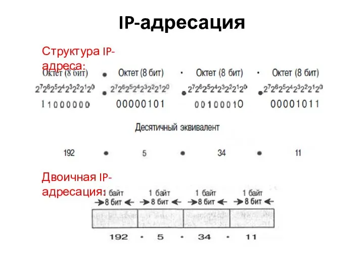 IP-адресация Структура IP-адреса: Двоичная IP-адресация: