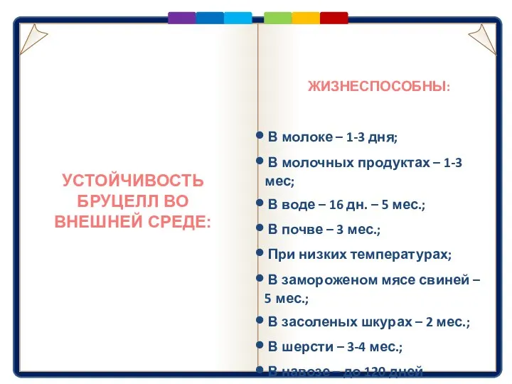 УСТОЙЧИВОСТЬ БРУЦЕЛЛ ВО ВНЕШНЕЙ СРЕДЕ: В молоке – 1-3 дня; В