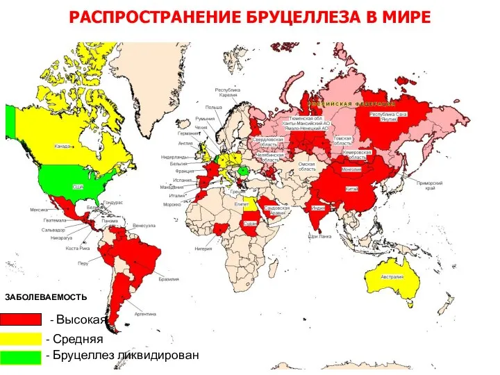 РАСПРОСТРАНЕНИЕ БРУЦЕЛЛЕЗА В МИРЕ ЗАБОЛЕВАЕМОСТЬ