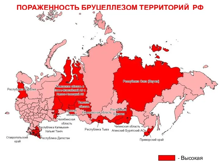 ПОРАЖЕННОСТЬ БРУЦЕЛЛЕЗОМ ТЕРРИТОРИЙ РФ