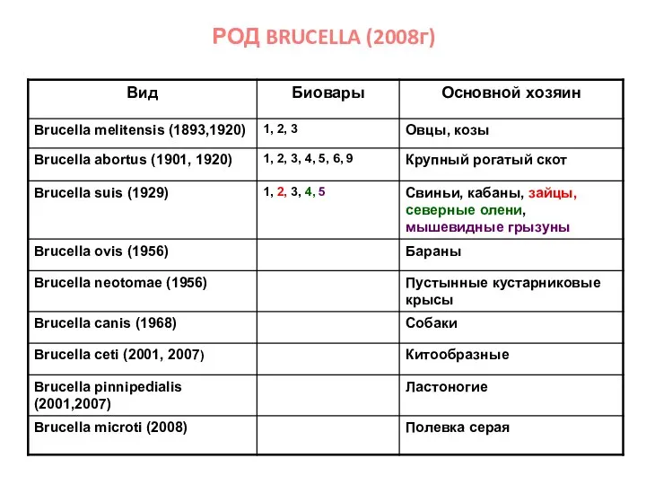 РОД BRUCELLA (2008г)