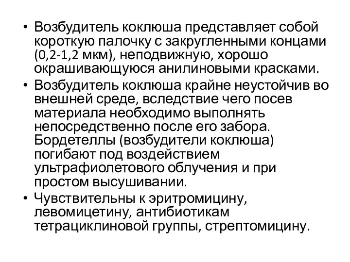 Возбудитель коклюша представляет собой короткую палочку с закругленными концами (0,2-1,2 мкм),