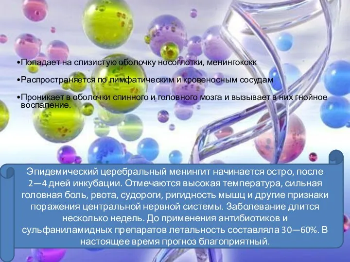 Попадает на слизистую оболочку носоглотки, менингококк Распространяется по лимфатическим и кровеносным