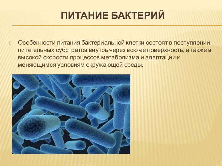 ПИТАНИЕ БАКТЕРИЙ Особенности питания бактериальной клетки состоят в поступлении питательных субстратов