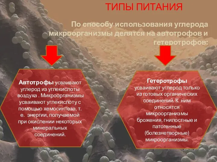 ТИПЫ ПИТАНИЯ По способу использования углерода микроорганизмы делятся на автотрофов и