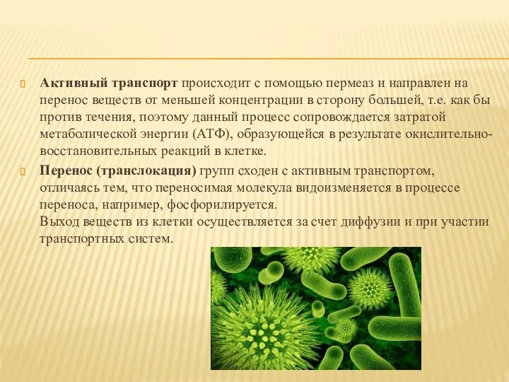 Активный транспорт происходит с помощью пермеаз и направлен на перенос веществ