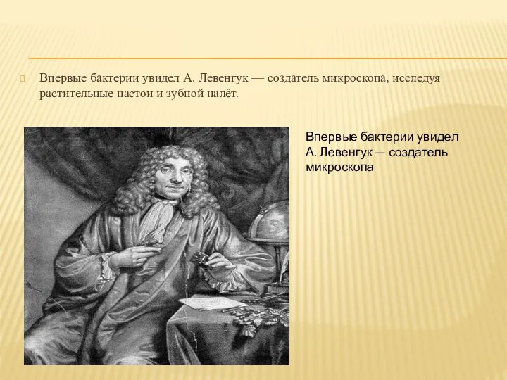 Впервые бактерии увидел А. Левенгук — создатель микроскопа, исследуя растительные настои