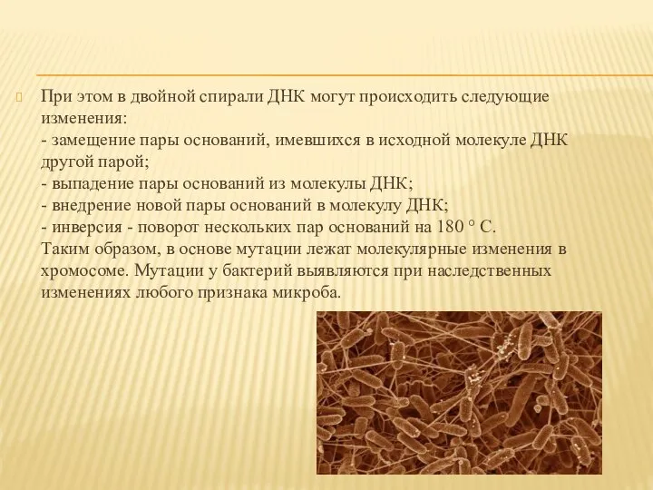 При этом в двойной спирали ДНК могут происходить следующие изменения: -