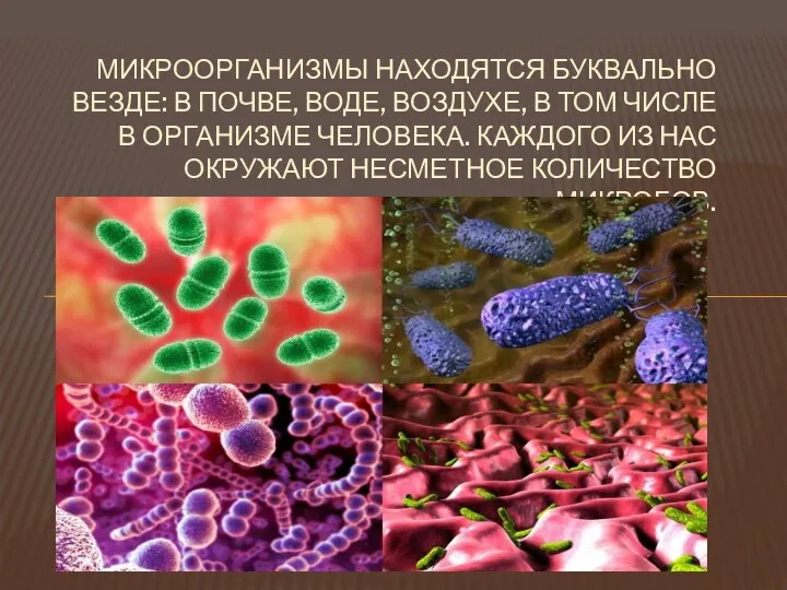 МИКРООРГАНИЗМЫ НАХОДЯТСЯ БУКВАЛЬНО ВЕЗДЕ: В ПОЧВЕ, ВОДЕ, ВОЗДУХЕ, В ТОМ ЧИСЛЕ