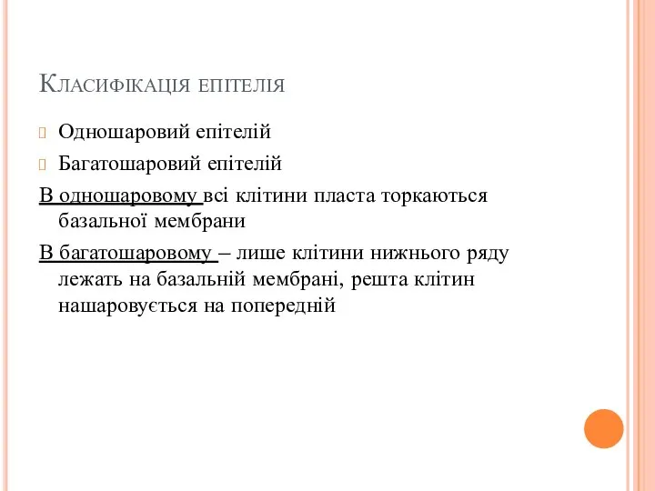 Класифікація епітелія Одношаровий епітелій Багатошаровий епітелій В одношаровому всі клітини пласта