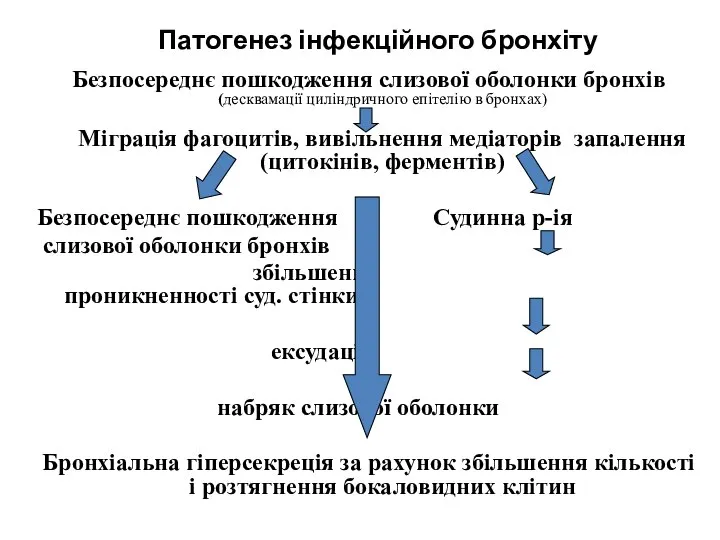 Патогенез інфекційного бронхіту Безпосереднє пошкодження слизової оболонки бронхів (десквамації циліндричного епітелію