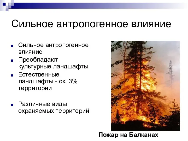 Сильное антропогенное влияние Сильное антропогенное влияние Преобладают культурные ландшафты Естественные ландшафты