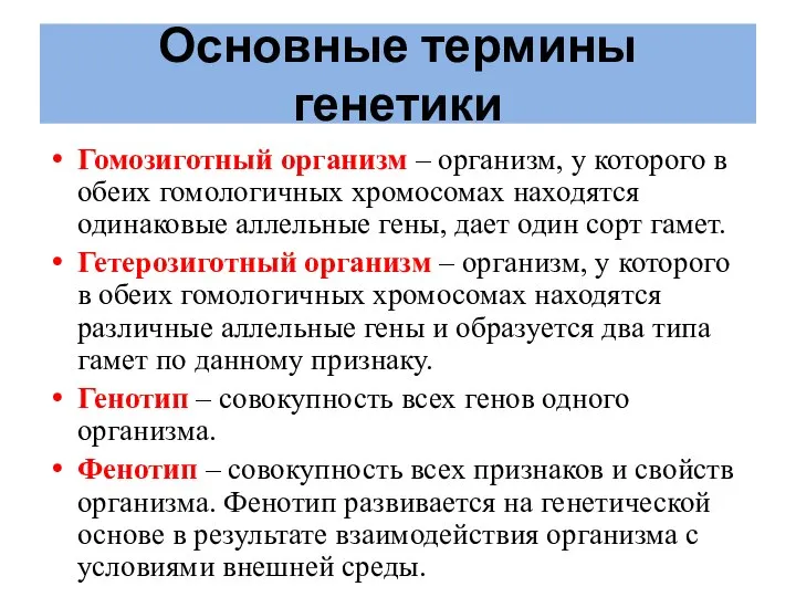 Основные термины генетики Гомозиготный организм – организм, у которого в обеих