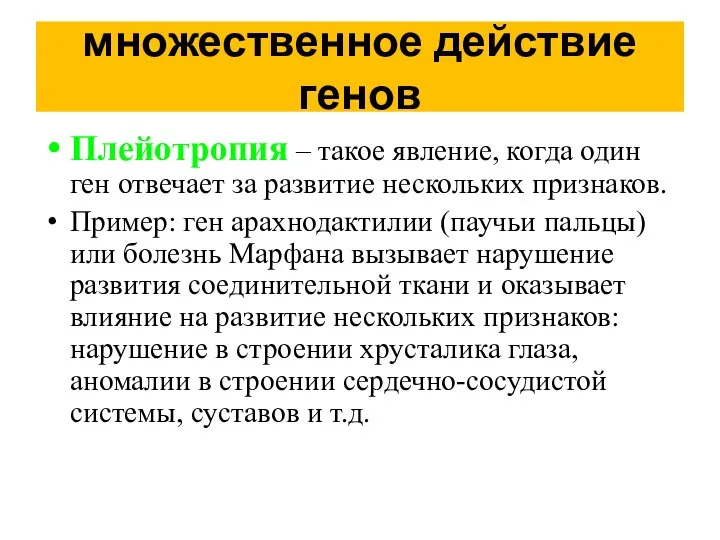 множественное действие генов Плейотропия – такое явление, когда один ген отвечает