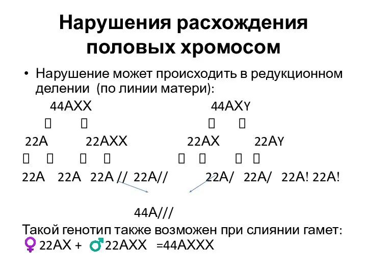 Нарушения расхождения половых хромосом Нарушение может происходить в редукционном делении (по