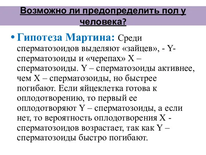 Возможно ли предопределить пол у человека? Гипотеза Мартина: Среди сперматозоидов выделяют