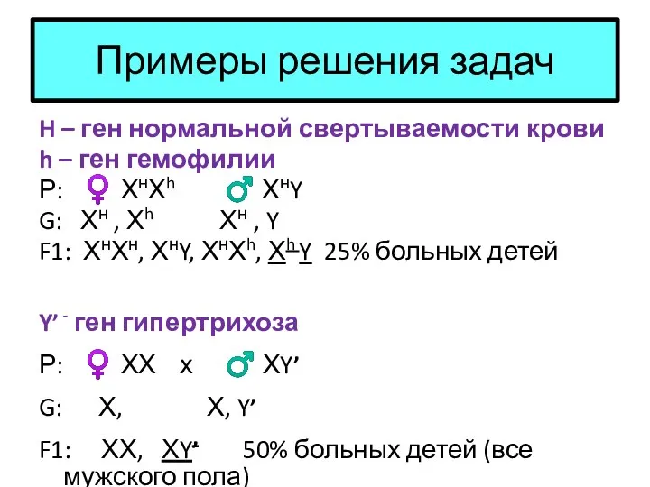 Примеры решения задач H – ген нормальной свертываемости крови h –