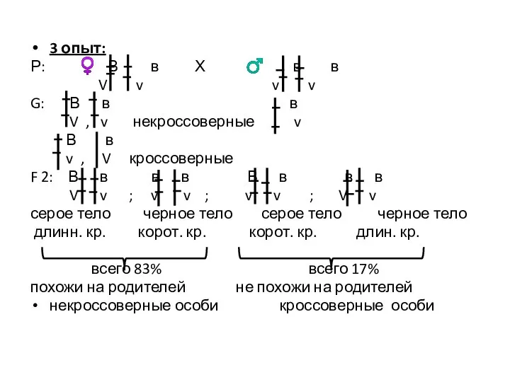 3 опыт: Р: ♀ В в Х ♂ в в V