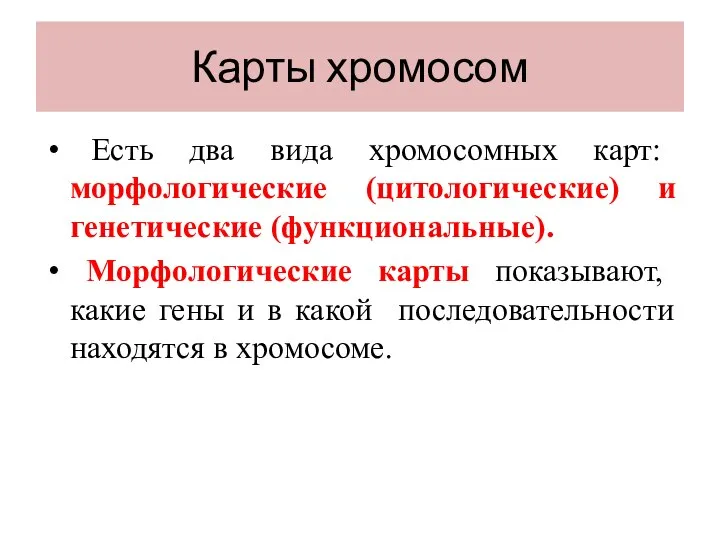 Карты хромосом Есть два вида хромосомных карт: морфологические (цитологические) и генетические