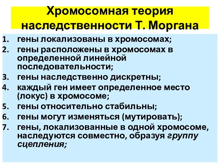 Хромосомная теория наследственности Т. Моргана гены локализованы в хромосомах; гены расположены