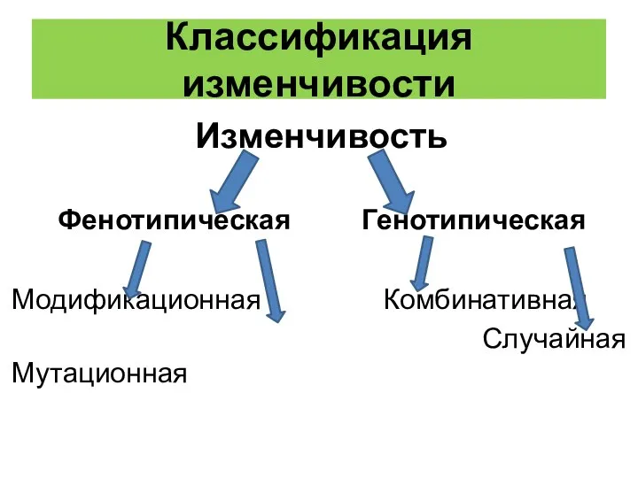 Классификация изменчивости Изменчивость Фенотипическая Генотипическая Модификационная Комбинативная Случайная Мутационная