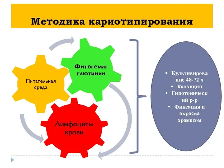 Методика кариотипирования Культивирование 48-72 ч Колхицин Гипотонический р-р Фиксация и окраска хромосом