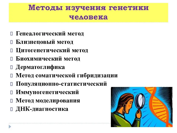 Методы изучения генетики человека Генеалогический метод Близнецовый метод Цитогенетический метод Биохимический