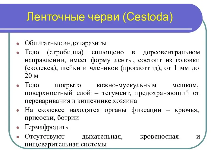 Ленточные черви (Сestoda) Облигатные эндопаразиты Тело (стробилла) сплющено в дорсовентральном направлении,