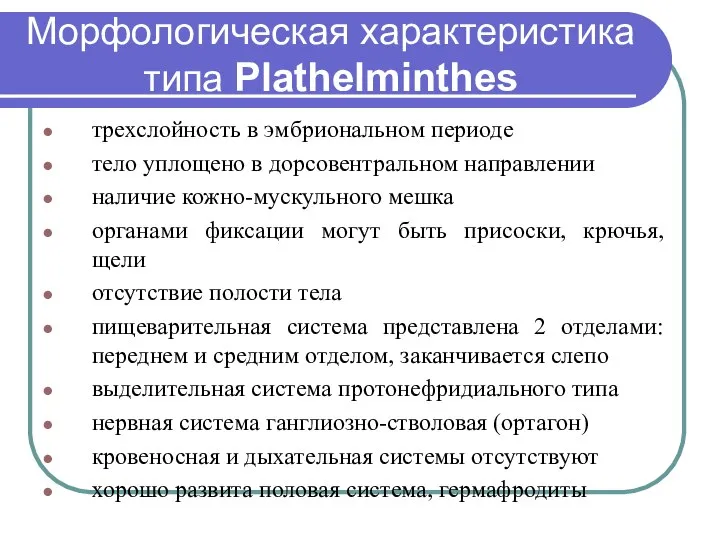 Морфологическая характеристика типа Plathelminthes трехслойность в эмбриональном периоде тело уплощено в