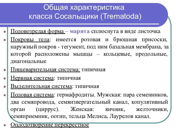 Общая характеристика класса Сосальщики (Trematodа) Половозрелая форма – марита сплюснута в