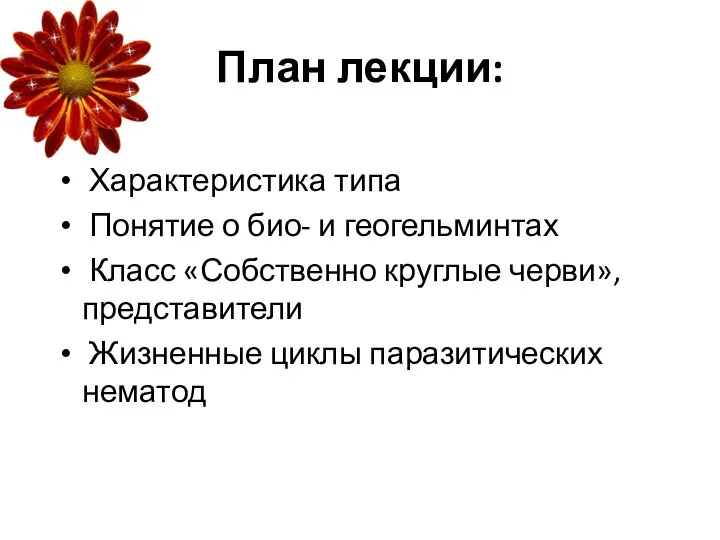 План лекции: Характеристика типа Понятие о био- и геогельминтах Класс «Собственно