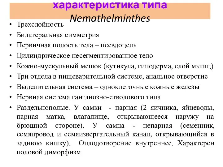 характеристика типа Nemathelminthes Трехслойность Билатеральная симметрия Первичная полость тела – псевдоцель