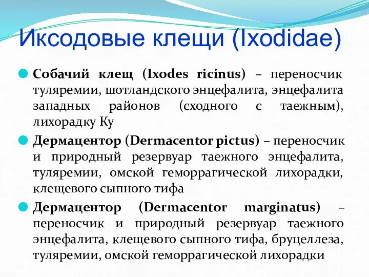 Иксодовые клещи (Ixodidae) Собачий клещ (Ixodes ricinus) – переносчик туляремии, шотландского