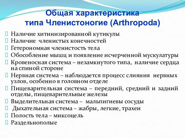 Общая характеристика типа Членистоногие (Arthropoda) Наличие хитинизированной кутикулы Наличие членистых конечностей