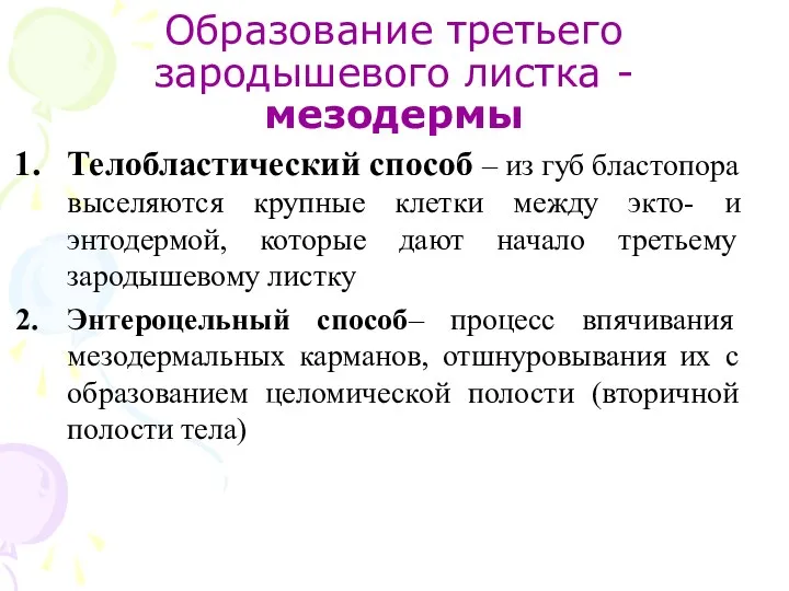 Образование третьего зародышевого листка - мезодермы Телобластический способ – из губ