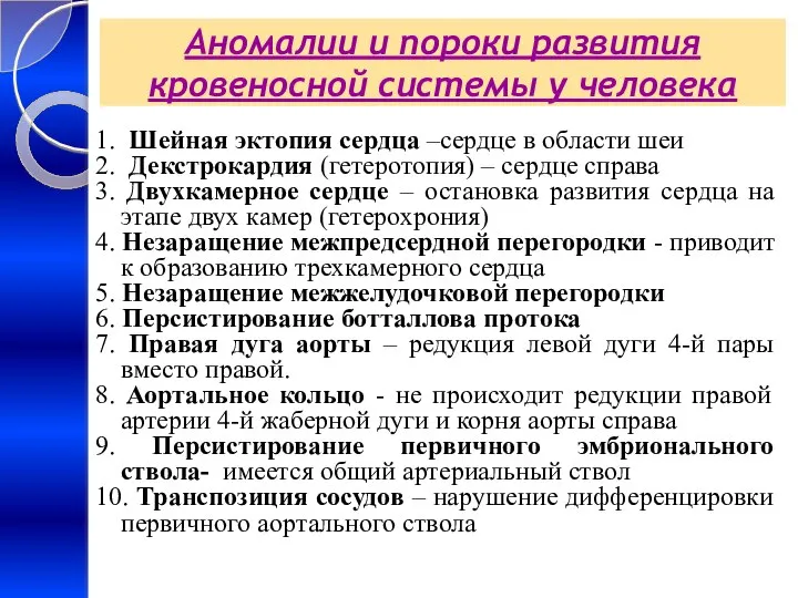 Аномалии и пороки развития кровеносной системы у человека 1. Шейная эктопия