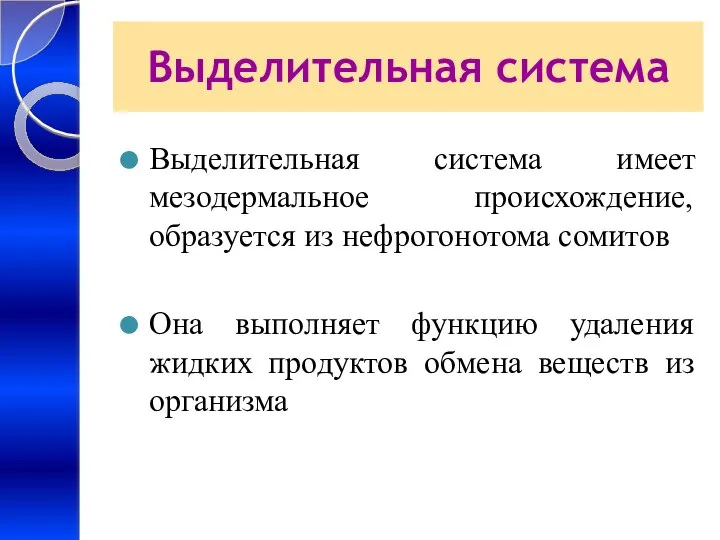 Выделительная система Выделительная система имеет мезодермальное происхождение, образуется из нефрогонотома сомитов