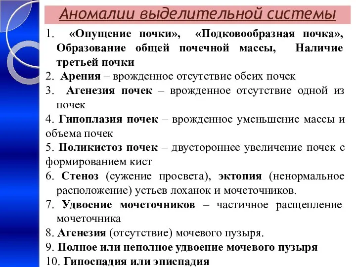 Аномалии выделительной системы 1. «Опущение почки», «Подковообразная почка», Образование общей почечной