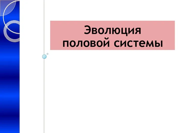 Эволюция половой системы