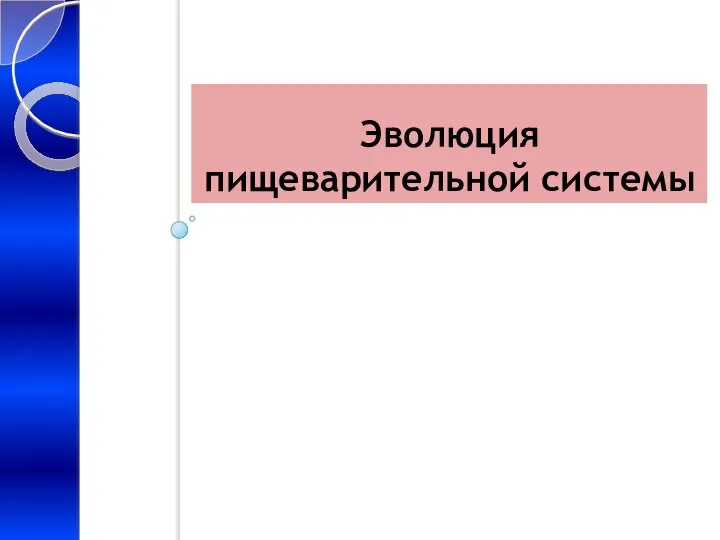 Эволюция пищеварительной системы