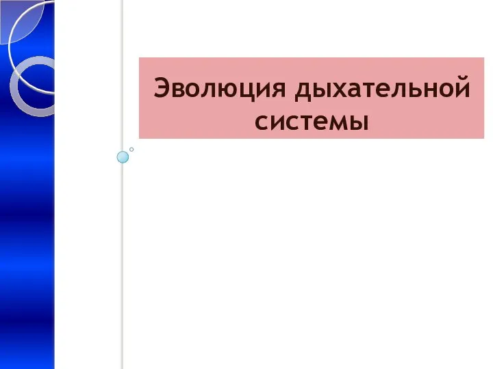 Эволюция дыхательной системы