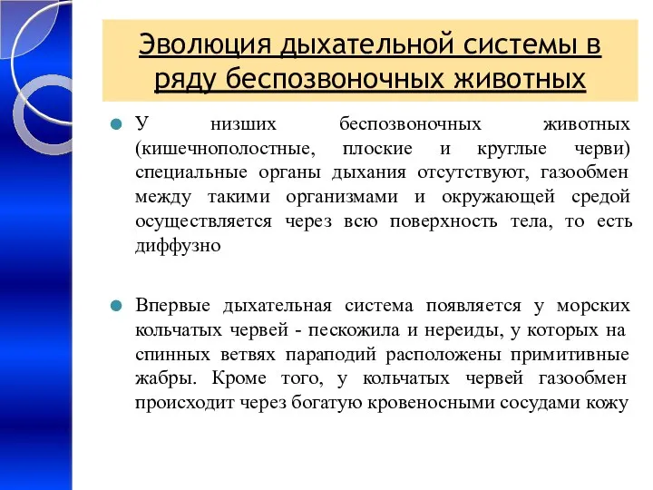 Эволюция дыхательной системы в ряду беспозвоночных животных У низших беспозвоночных животных